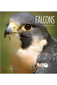 Falcons