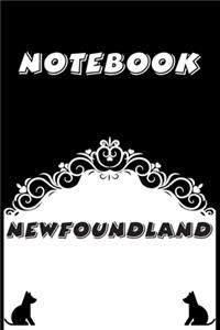 Newfoundland Notebook