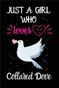 Just A Girl Who Loves Collared Dove