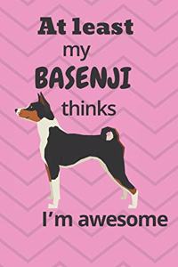 At least My Basenji thinks I'm awesome