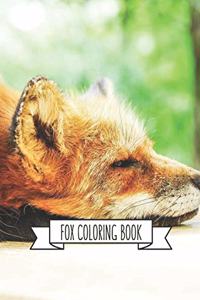 Fox Coloring Book