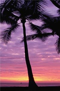 2020 Weekly Planner Palm Trees Sky Sunrise Sunset 134 Pages