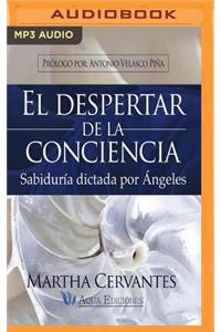 Despertar de la Conciencia (Narración En Castellano)