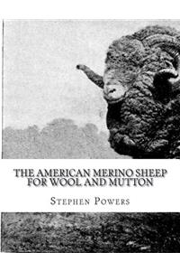 American Merino Sheep For Wool and Mutton