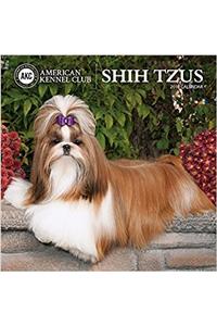 American Kennel Club Shih Tzus 2018 Wall Calendar