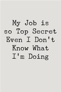 My Job Is Top Secret Even I Don't Know What I'm Doing