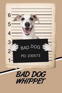 Bad Dog Whippet