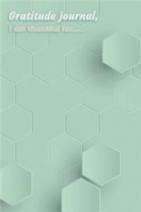 Gratitude Journal I Am Thankful For