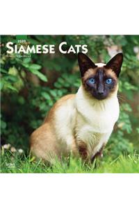 Siamese Cats 2020 Square Wall Calendar