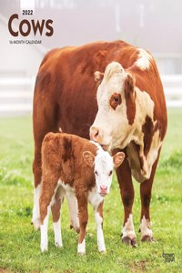 Cows 2022 Square