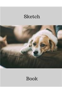 Sketchbook