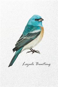 Lazuli Bunting