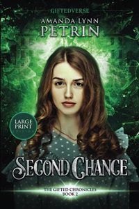 Second Chance (Large Print Edition)