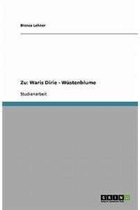 Weibliche Genitalverstümmelung (FGM) und Beschneidung