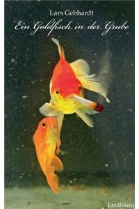 Ein Goldfisch in der Grube