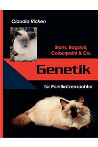 Genetik für Pointkatzenzüchter