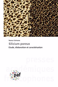 Silicium poreux