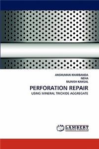 Perforation Repair