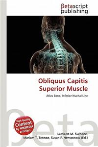Obliquus Capitis Superior Muscle