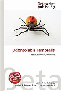 Odontolabis Femoralis