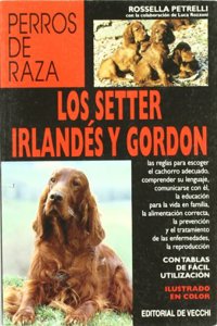 Los Setter Irlandes y Gordon