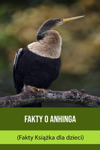 Fakty o Anhinga (Fakty Książka dla dzieci)