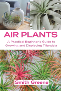 Air Plants