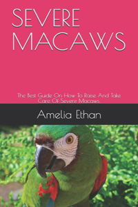 Severe Macaws