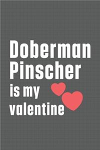 Doberman Pinscher is my valentine