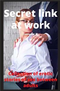 Secret link at work (volume 8)