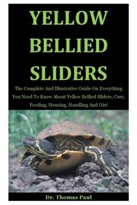 Yellow Bellied Sliders