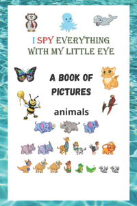 A book of pictures