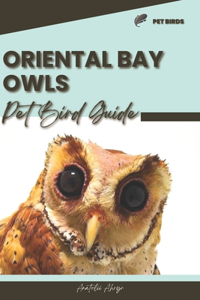Oriental Bay Owls