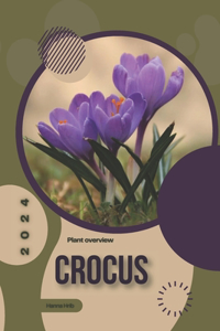 Crocus