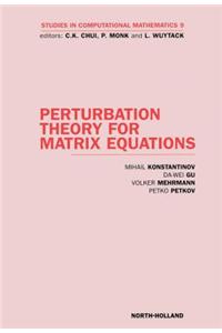 Perturbation Theory for Matrix Equations