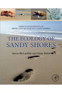 The Ecology of Sandy Shores