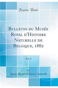 Bulletin Du Musï¿½e Royal d'Histoire Naturelle de Belgique, 1882, Vol. 1 (Classic Reprint)