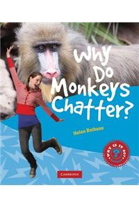 Why Do Monkeys Chatter?