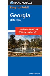 Rand McNally Georgia