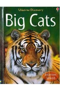 BIG CATS DISCOVERY SERIES