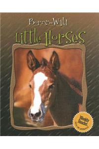 Little Horses