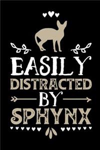Easily Distracted by Sphynx