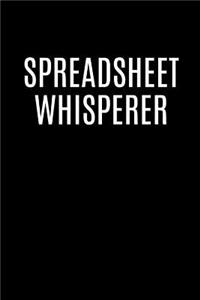 Spreadsheet Whisperer