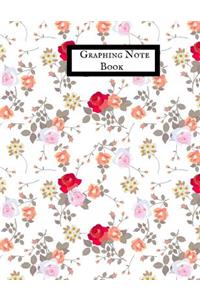 Graphing Note Book