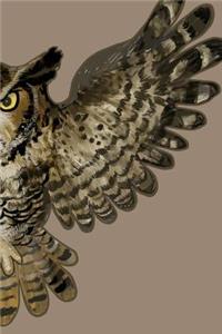 Flying Owl - 2019 & 2020 Mid Year Academic Journal With Mind Maps, Budget Planner, Goal Setting & Inspirational Quotes