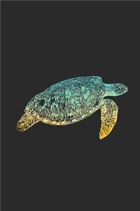 Turtle Colors