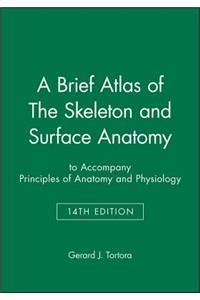Brief Atlas of the Skeleton and Surface Anatomy to Accompany Principles of Anatomy and Physiology, 14e