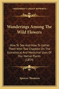 Wanderings Among The Wild Flowers