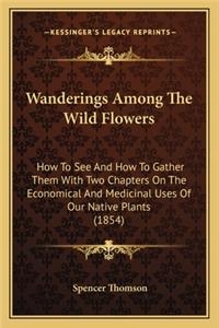 Wanderings Among the Wild Flowers