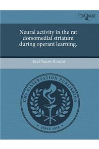 Neural Activity in the Rat Dorsomedial Striatum During Operant Learning